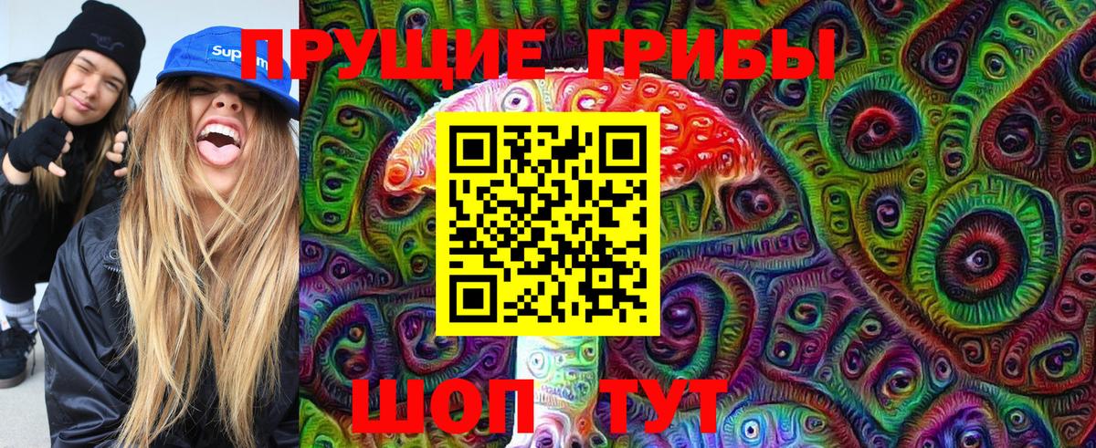 Галлюциногенные грибы Psilocybe  Вход с VPN  Богданович 