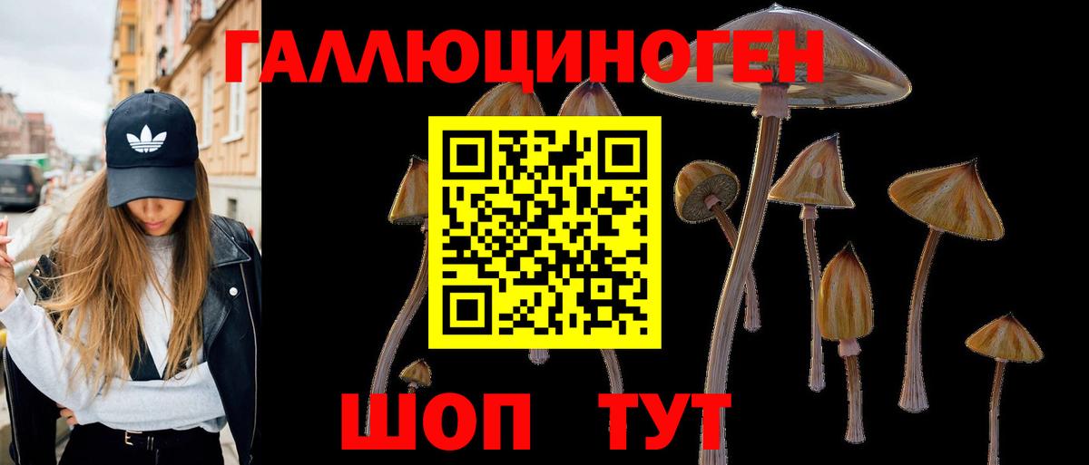 Псилоцибиновые грибы прущие грибы Богданович